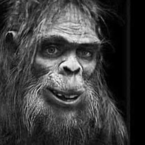 Meet your Posher, Phil